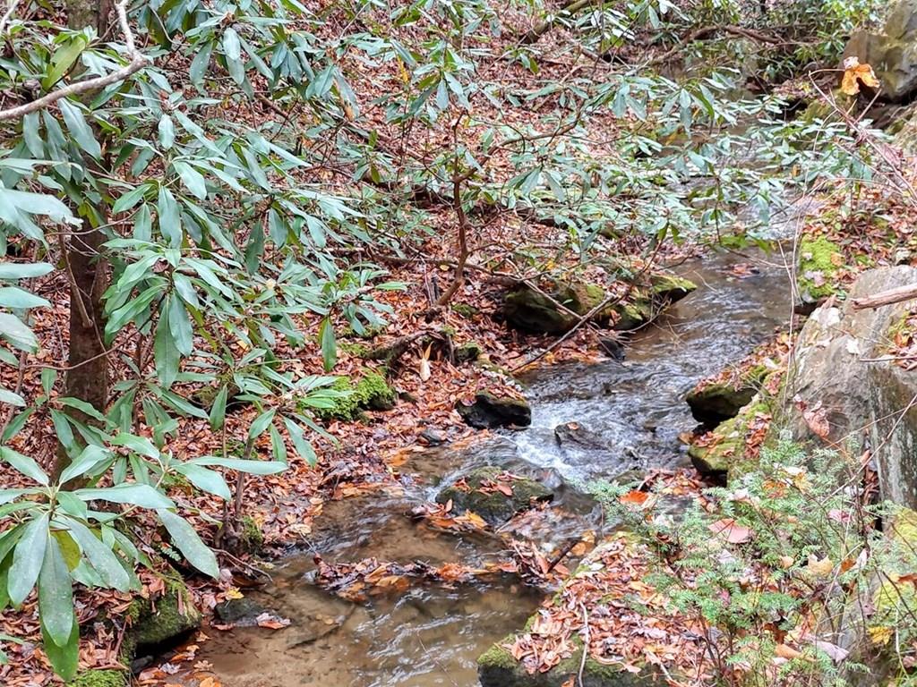 135.49AC Webb Creek Road Andrews NC 28901