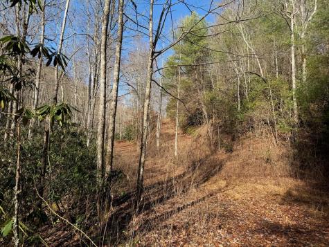 135.49AC Webb Creek Road Andrews NC 28901
