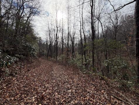 135.49AC Webb Creek Road Andrews NC 28901