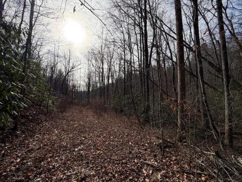 135.49AC Webb Creek Road Andrews NC 28901