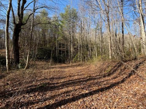 135.49AC Webb Creek Road Andrews NC 28901