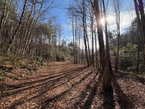 135.49AC Webb Creek Road Andrews NC 28901