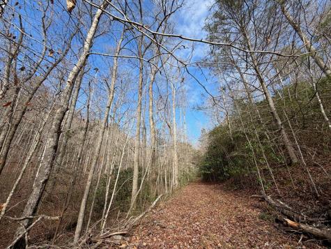 135.49AC Webb Creek Road Andrews NC 28901