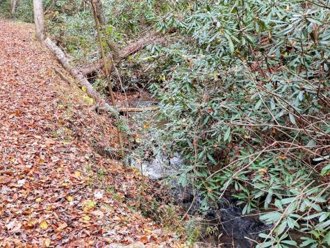 135.49AC Webb Creek Road Andrews NC 28901