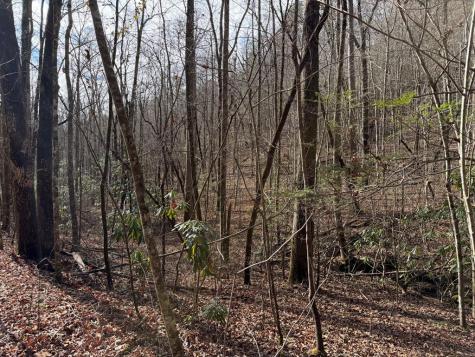 135.49AC Webb Creek Road Andrews NC 28901