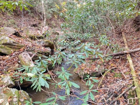 135.49AC Webb Creek Road Andrews NC 28901