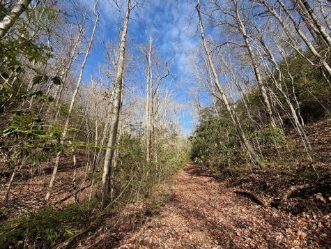 135.49AC Webb Creek Road Andrews NC 28901