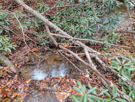 135.49AC Webb Creek Road Andrews NC 28901