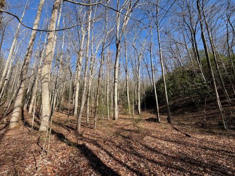135.49AC Webb Creek Road Andrews NC 28901
