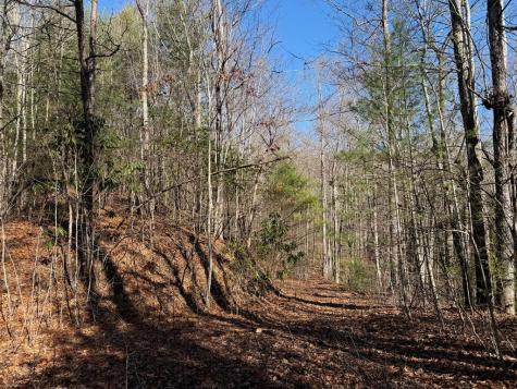 135.49AC Webb Creek Road Andrews NC 28901