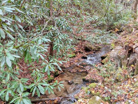 135.49AC Webb Creek Road Andrews NC 28901