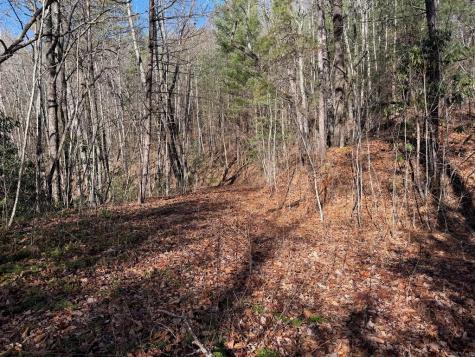 135.49AC Webb Creek Road Andrews NC 28901