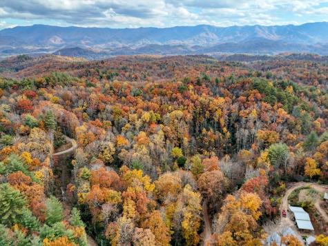 135.49AC Webb Creek Road Andrews NC 28901