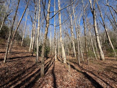 135.49AC Webb Creek Road Andrews NC 28901