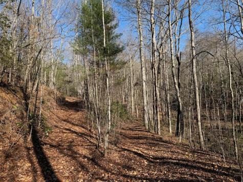 135.49AC Webb Creek Road Andrews NC 28901