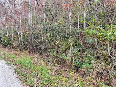 135.49AC Webb Creek Road Andrews NC 28901