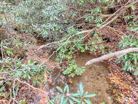 135.49AC Webb Creek Road Andrews NC 28901