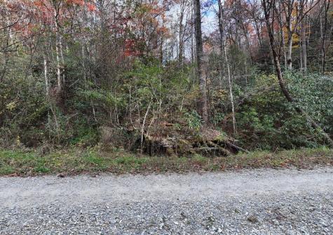 135.49AC Webb Creek Road Andrews NC 28901