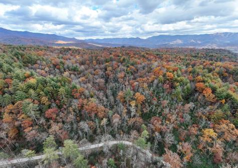135.49AC Webb Creek Road Andrews NC 28901