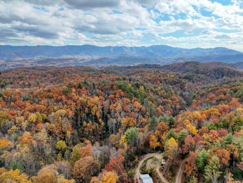 135.49AC Webb Creek Road Andrews NC 28901