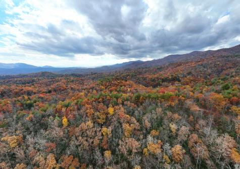 135.49AC Webb Creek Road Andrews NC 28901
