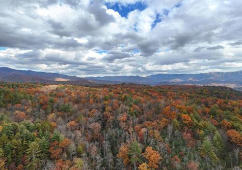 135.49AC Webb Creek Road Andrews NC 28901