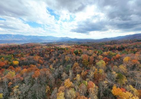 135.49AC Webb Creek Road Andrews NC 28901