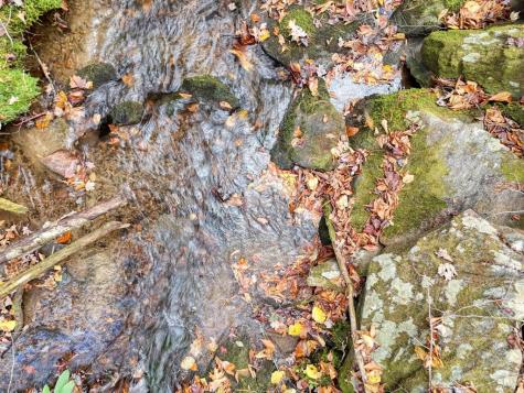135.49AC Webb Creek Road Andrews NC 28901