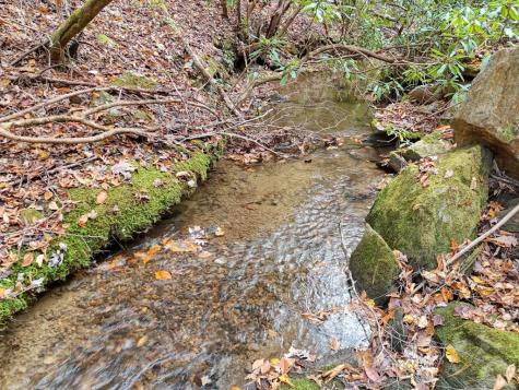 135.49AC Webb Creek Road Andrews NC 28901