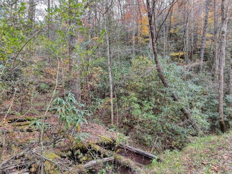 135.49AC Webb Creek Road Andrews NC 28901
