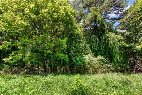 Lot 36 Talona Mountain Road Ellijay GA 30536