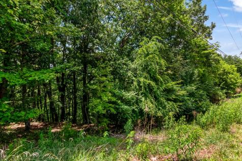 Lot 36 Talona Mountain Road Ellijay GA 30536