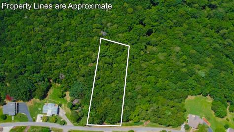 Lot 36 Talona Mountain Road Ellijay GA 30536