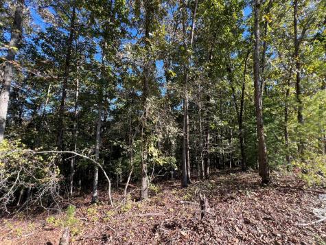 1719 Rebekah Ridge Road Talking Rock GA 30175