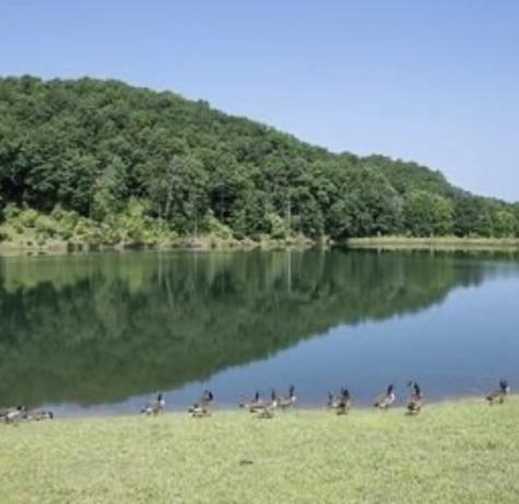 1719 Rebekah Ridge Road Talking Rock GA 30175