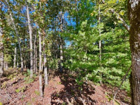 1719 Rebekah Ridge Road Talking Rock GA 30175