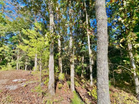 1719 Rebekah Ridge Road Talking Rock GA 30175