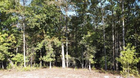 1719 Rebekah Ridge Road Talking Rock GA 30175