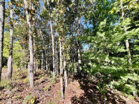 1719 Rebekah Ridge Road Talking Rock GA 30175