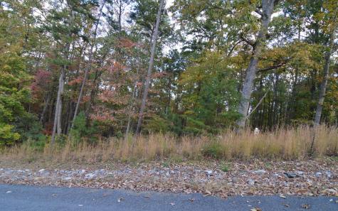 Lot 2 Serenity Ridge Lane Blairsville GA 30512