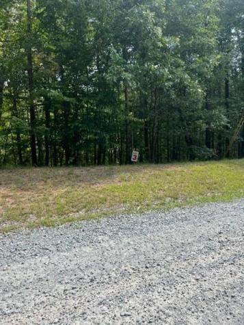 Lt 3 Hunter Ridge Ellijay GA 30540