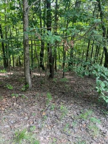 Lt 3 Hunter Ridge Ellijay GA 30540