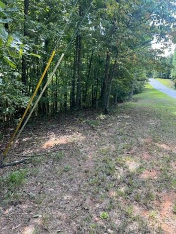 Lt 3 Hunter Ridge Ellijay GA 30540