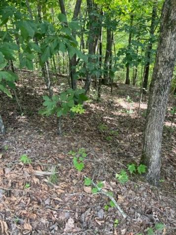 Lt 3 Hunter Ridge Ellijay GA 30540