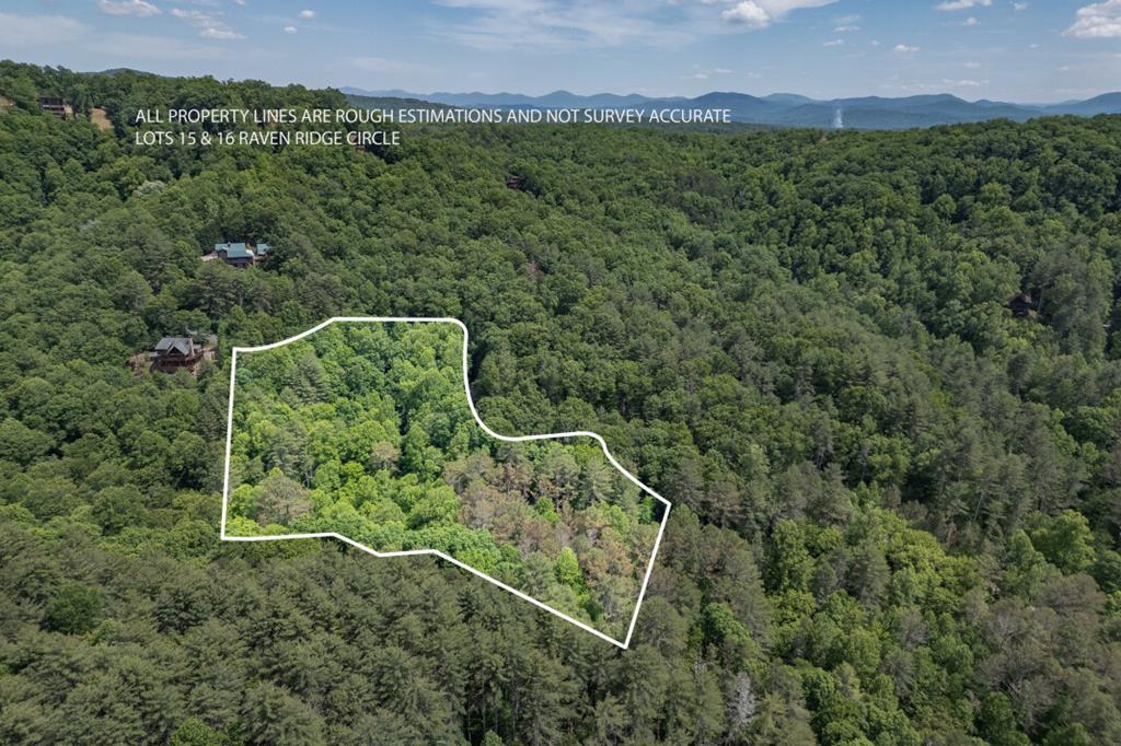L 15&16 Raven Ridge Circle Mineral Bluff GA 30559