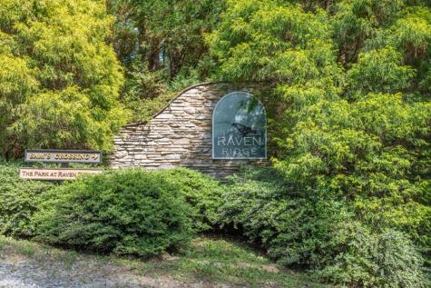 L 15&16 Raven Ridge Circle Mineral Bluff GA 30559