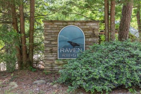 L 15&16 Raven Ridge Circle Mineral Bluff GA 30559