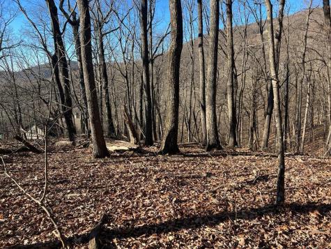 0 Sassafras Mountain Trail Jasper GA 30143