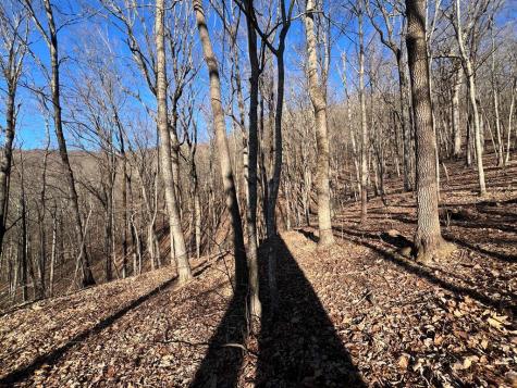 0 Sassafras Mountain Trail Jasper GA 30143