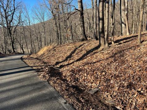 0 Sassafras Mountain Trail Jasper GA 30143